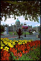 Legislature and horse carriage framed by leaves and flowers. Victoria, British Columbia, Canada