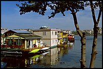 Houseboats. Victoria, British Columbia, Canada ( color)