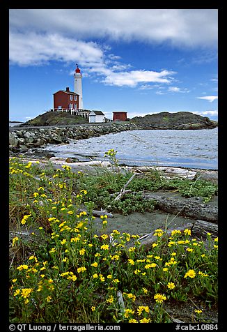 Flowers and Fisgard Lighthouse. Victoria, British Columbia, Canada