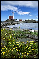 Flowers and Fisgard Lighthouse. Victoria, British Columbia, Canada ( color)