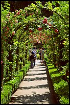 Arbour and path in Rose Garden. Butchart Gardens, Victoria, British Columbia, Canada