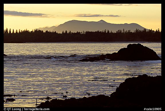 Rocks, tree line, and mountains from Half-moon bay, late afternoon. Pacific Rim National Park, Vancouver Island, British Columbia, Canada