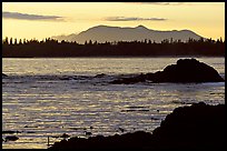 Rocks, tree line, and mountains from Half-moon bay, late afternoon. Pacific Rim National Park, Vancouver Island, British Columbia, Canada