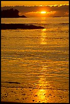 Sunset, Half-moon bay. Pacific Rim National Park, Vancouver Island, British Columbia, Canada ( color)