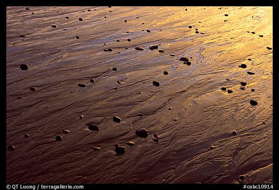 Reflections in wet sand at sunset, Half-moon bay. Pacific Rim National Park, Vancouver Island, British Columbia, Canada (color)