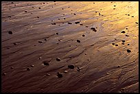 Reflections in wet sand at sunset, Half-moon bay. Pacific Rim National Park, Vancouver Island, British Columbia, Canada (color)