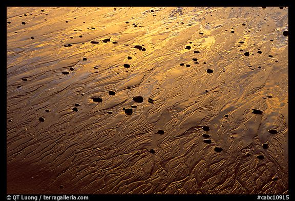 Pebbles and wet sand at sunset, Half-moon bay. Pacific Rim National Park, Vancouver Island, British Columbia, Canada