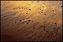 Pebbles and wet sand at sunset, Half-moon bay. Pacific Rim National Park, Vancouver Island, British Columbia, Canada