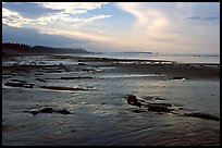 Long Beach, early morning. Pacific Rim National Park, Vancouver Island, British Columbia, Canada ( color)