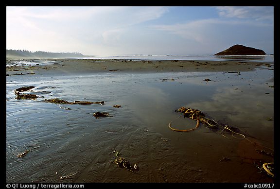 Wet sand on Long Beach, early morning. Pacific Rim National Park, Vancouver Island, British Columbia, Canada (color)