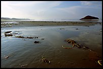 Wet sand on Long Beach, early morning. Pacific Rim National Park, Vancouver Island, British Columbia, Canada ( color)