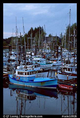 Commercial fishing fleet at dawn, Uclulet. Vancouver Island, British Columbia, Canada (color)