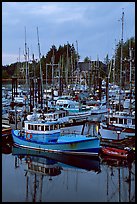 Commercial fishing fleet at dawn, Uclulet. Vancouver Island, British Columbia, Canada (color)