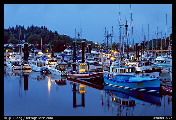 Commercial fishing fleet at dawn, Uclulet. Vancouver Island, British Columbia, Canada (color)