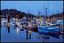 Commercial fishing fleet at dawn, Uclulet. Vancouver Island, British Columbia, Canada (color)