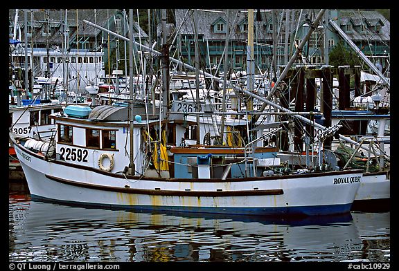 Fishing boat in harbour, Uclulet. Vancouver Island, British Columbia, Canada (color)