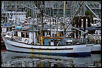 Fishing boat in harbour, Uclulet. Vancouver Island, British Columbia, Canada (color)