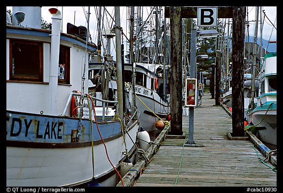 Fishing boats docked, Uclulet. Vancouver Island, British Columbia, Canada