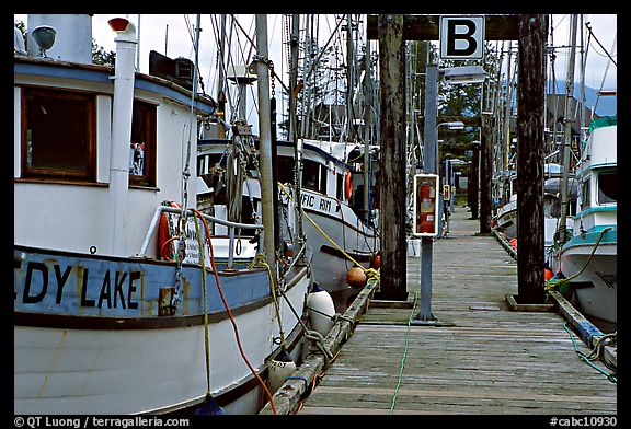 Fishing boats docked, Uclulet. Vancouver Island, British Columbia, Canada (color)