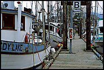 Fishing boats docked, Uclulet. Vancouver Island, British Columbia, Canada (color)