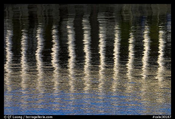 Column reflections. Victoria, British Columbia, Canada (color)