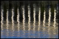 Column reflections. Victoria, British Columbia, Canada (color)