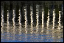 Column reflections. Victoria, British Columbia, Canada ( color)