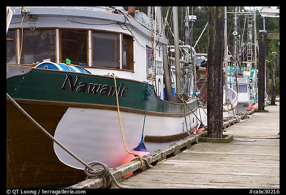 Commercial fishing boats, Uclulet. Vancouver Island, British Columbia, Canada