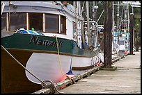 Commercial fishing boats, Uclulet. Vancouver Island, British Columbia, Canada (color)