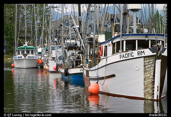 Fishing fleet, Uclulet. Vancouver Island, British Columbia, Canada