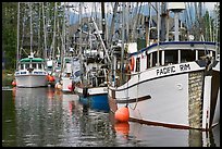 Fishing fleet, Uclulet. Vancouver Island, British Columbia, Canada