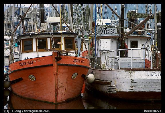 Fishing fleet, Uclulet. Vancouver Island, British Columbia, Canada (color)