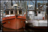 Fishing fleet, Uclulet. Vancouver Island, British Columbia, Canada (color)