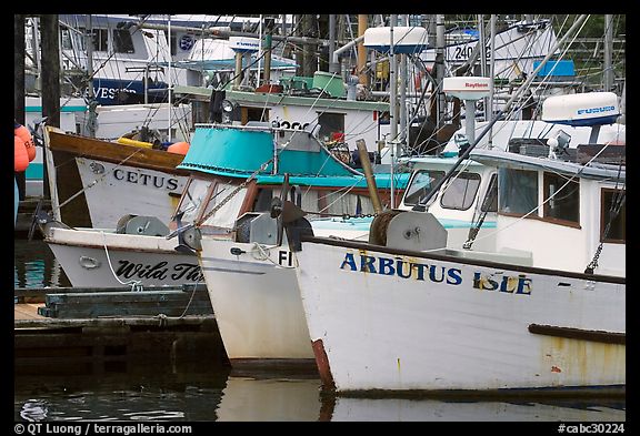 Commercial Fishing fleet, Uclulet. Vancouver Island, British Columbia, Canada