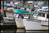 Commercial Fishing fleet, Uclulet. Vancouver Island, British Columbia, Canada (color)