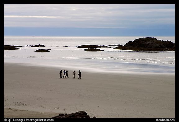 Long Beach. Pacific Rim National Park, Vancouver Island, British Columbia, Canada (color)