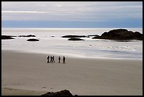 Long Beach. Pacific Rim National Park, Vancouver Island, British Columbia, Canada