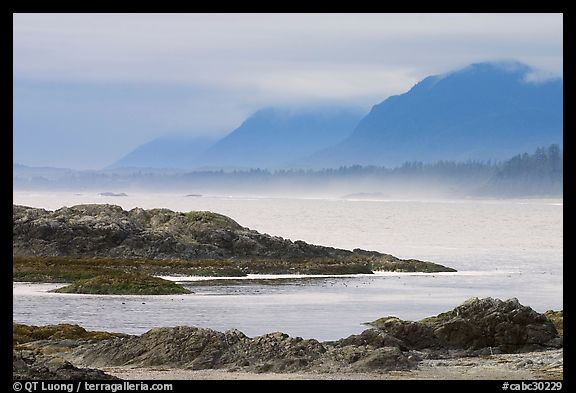 Ocean and coastal range. Pacific Rim National Park, Vancouver Island, British Columbia, Canada