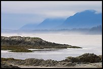 Ocean and coastal range. Pacific Rim National Park, Vancouver Island, British Columbia, Canada