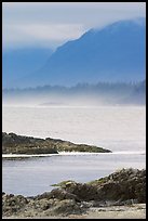 Ocean and coastal range. Pacific Rim National Park, Vancouver Island, British Columbia, Canada ( color)