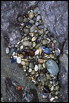 Pebbles and rock, South Beach. Pacific Rim National Park, Vancouver Island, British Columbia, Canada (color)