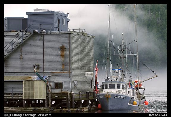 Commercial fishing boat next to a fishery, Tofino. Vancouver Island, British Columbia, Canada