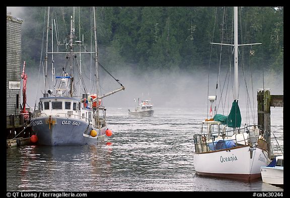 Yacht and fishing boat, Tofino. Vancouver Island, British Columbia, Canada (color)