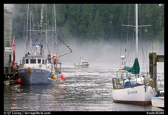 Yacht and fishing boat, Tofino. Vancouver Island, British Columbia, Canada