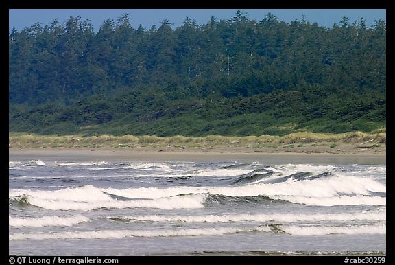 Waves washing on Long Beach. Pacific Rim National Park, Vancouver Island, British Columbia, Canada