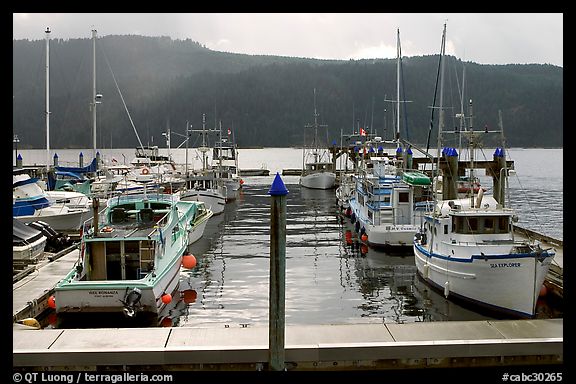 Fishing boats in harbour in Alberni Inlet, Port Alberni. Vancouver Island, British Columbia, Canada