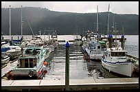 Fishing boats in harbour in Alberni Inlet, Port Alberni. Vancouver Island, British Columbia, Canada (color)