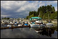 Small boat harbor, Port Alberni. Vancouver Island, British Columbia, Canada