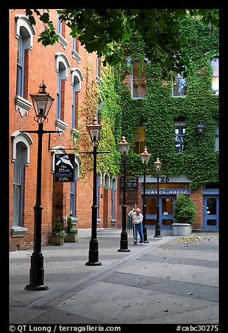 Alley with street lamps, Bastion Square. Victoria, British Columbia, Canada