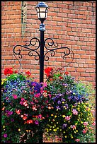Flowers, street lamp, brick wall. Victoria, British Columbia, Canada ( color)